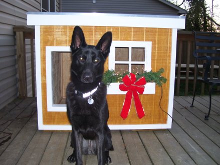 dog house plans